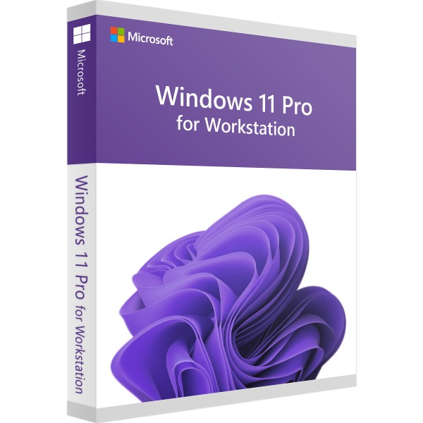 Windows 11 Pro per Workstation